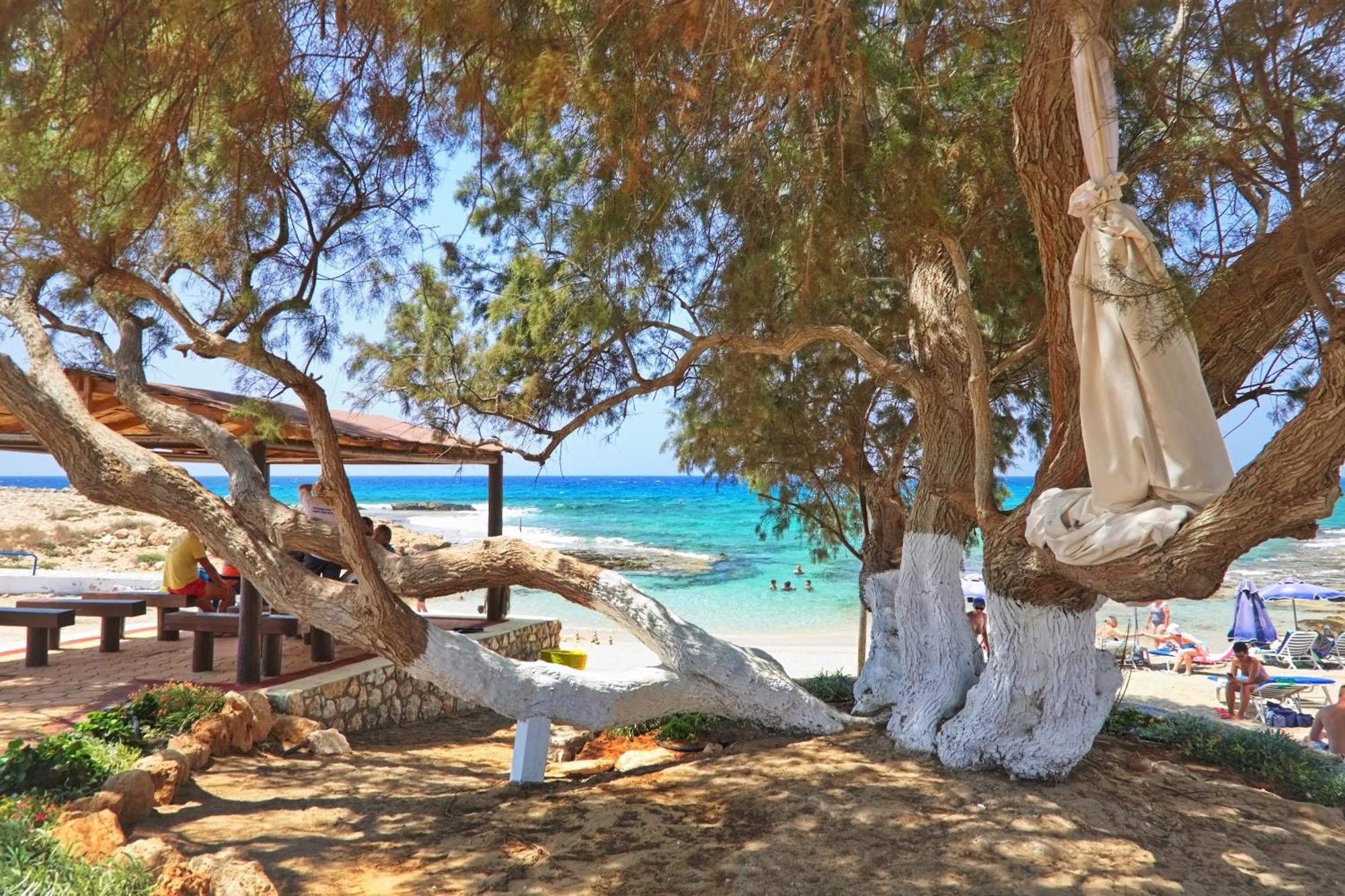 איה נאפה Sea Pearl Beachfront Villas - Breeze מראה חיצוני תמונה